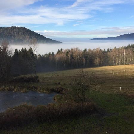 Ferienwohnung Gut Eschlsaign Аррах Екстер'єр фото