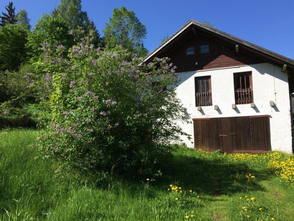 Ferienwohnung Gut Eschlsaign Аррах Екстер'єр фото